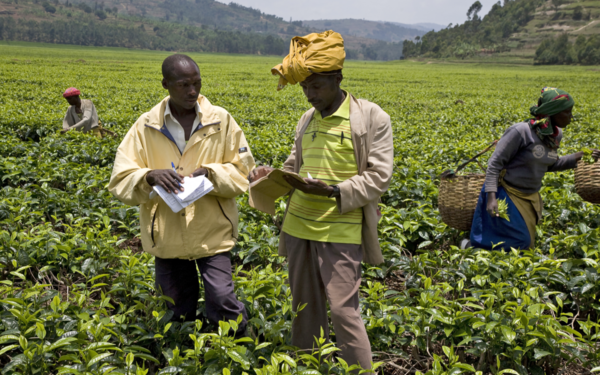Empowering farmers to control their own data