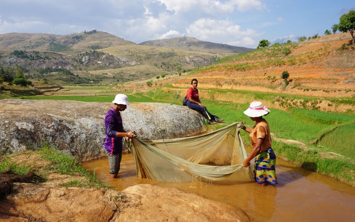 Sustainable Artisanal Fisheries and Aquaculture in Rural Areas