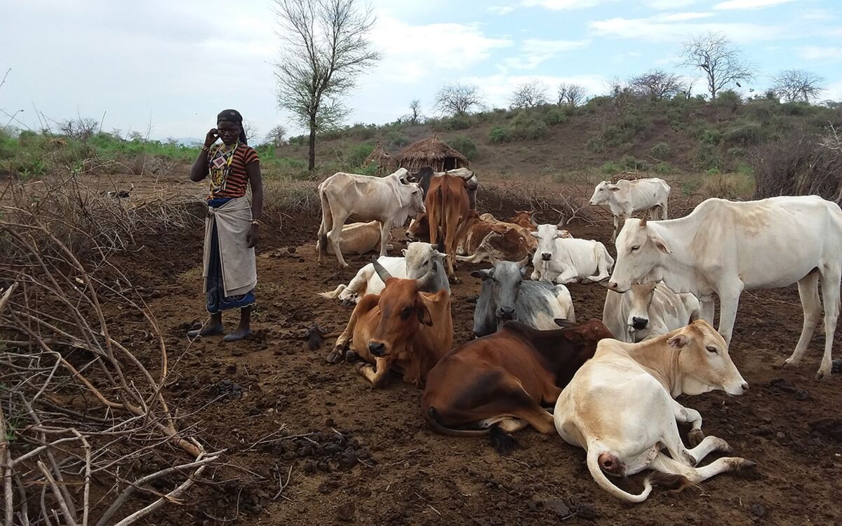 5 questions for Wase Gubena: Consultant for shepherds
