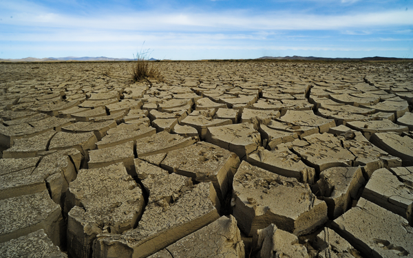 Eine weitläufige, ausgetrocknete Landschaft mit aufgebrochener Erde und einem einsamen Grasbüschel unter klarem Himmel.