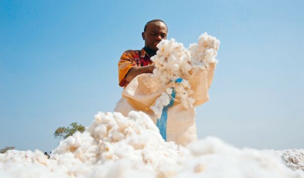 Achieving more together –   New forms of cooperation for sustainability in the cotton sector