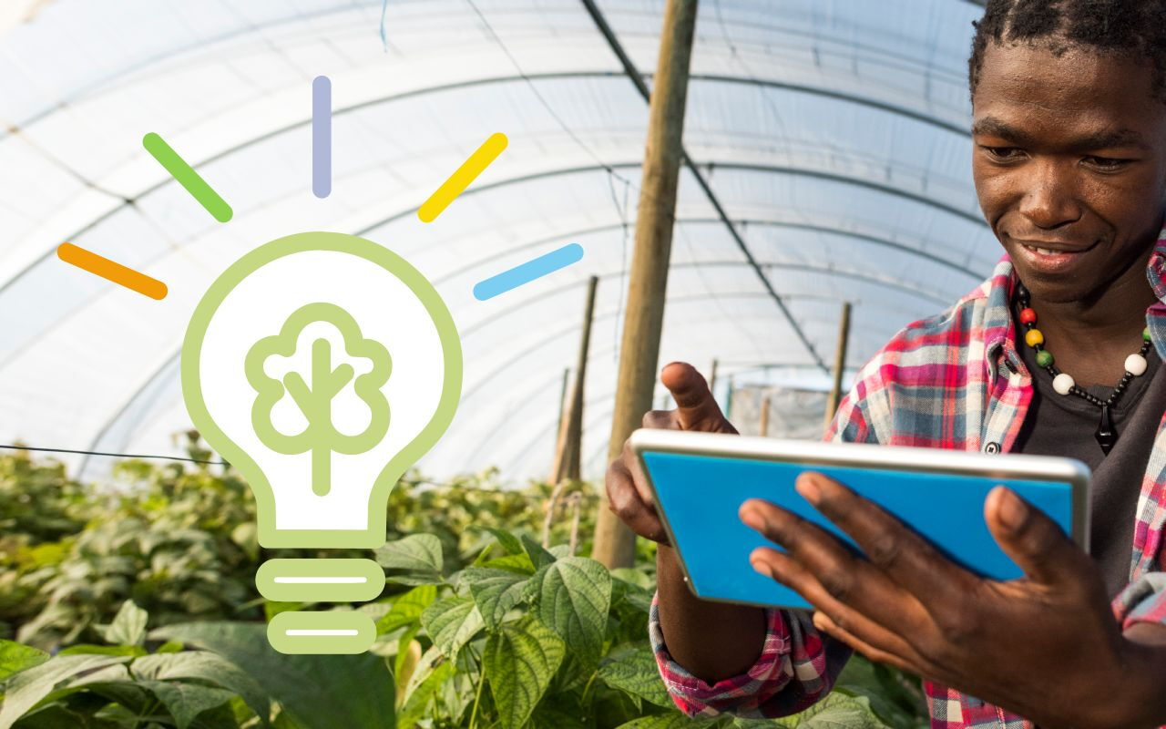 A person uses a tablet in a greenhouse, symbolizing innovation with a lightbulb icon featuring a tree.
