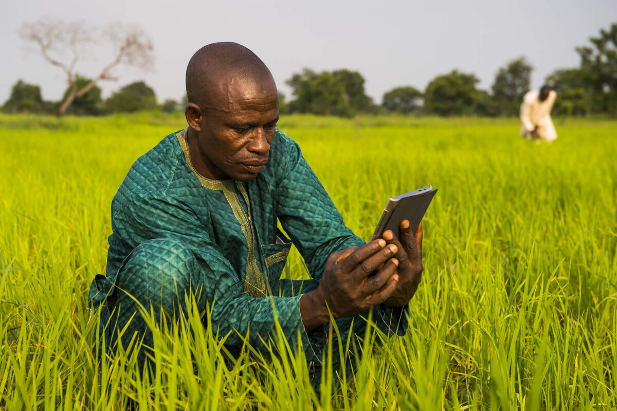 A man in traditional attire uses a tablet while sitting in a lush green field, with another person working in the background.