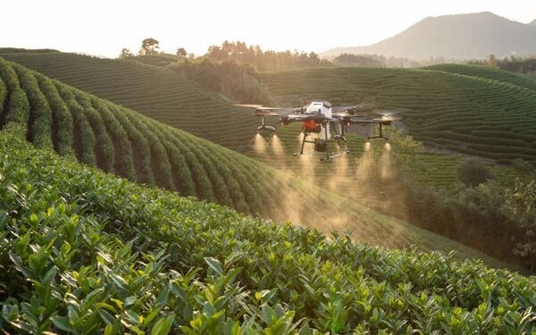 Pesticides – a blessing or a curse?