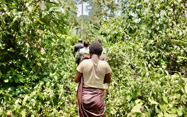 Eine Gruppe von Menschen wandert auf einem von dichtem grünen Laub umgebenen Pfad durch den dichten Wald.