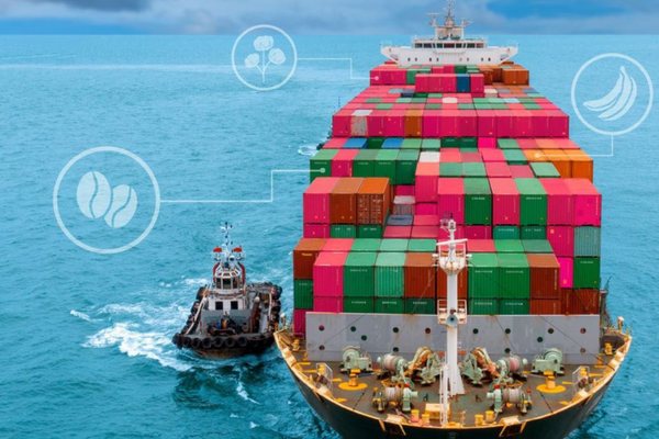 Ein Schlepper zieht ein riesiges Containerschiff voller bunter Frachtbehälter auf dem Meer.