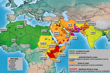 Locusts and supply risks on the horn. Karte: FAO/DLIS