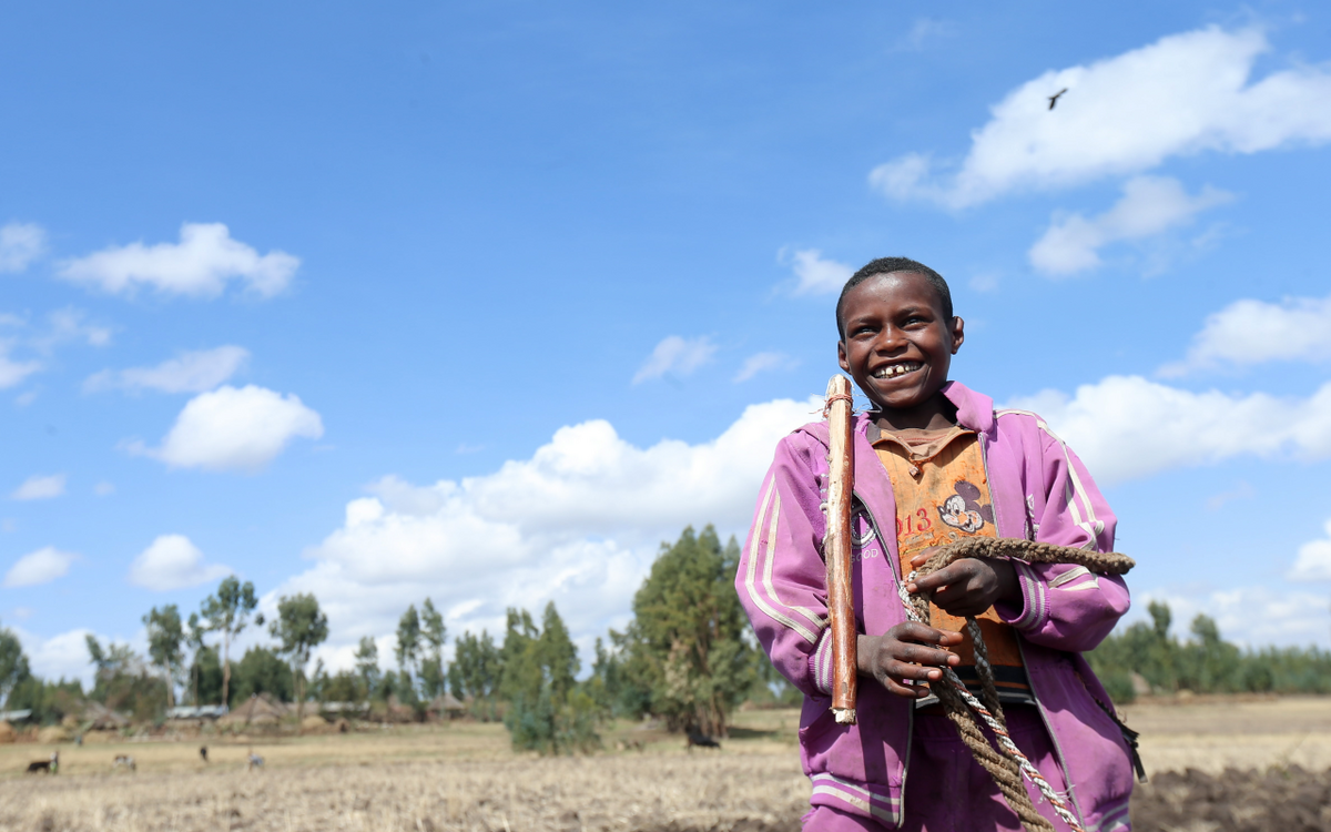 Ein fröhlicher Junge in einer lila Jacke hält Seile auf einem Feld unter blauem Himmel.