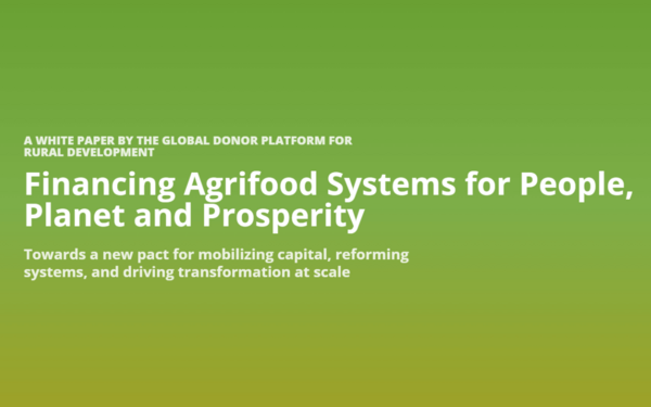 Financing Agrifood Systems for People, Planet and Prosperity