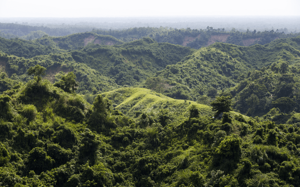 Üppig grüne Hügel erstrecken sich im Chunati Wildlife Reservat in Bangladesch unter einem sanften, dunstigen Himmel. | © GIZ