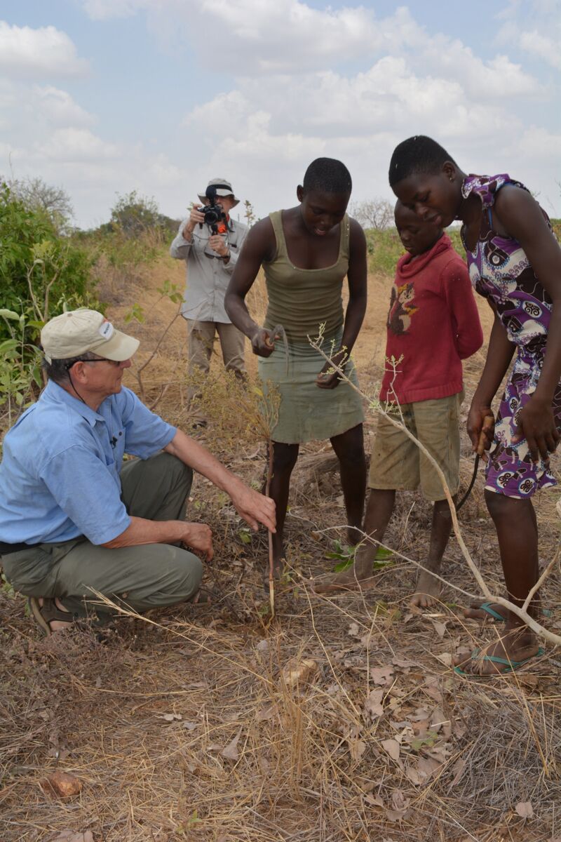 Rinaudo demonstriert in Ghana die Beschneidung eines Busches. © World Vision