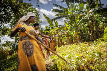 Ich bin ein Alternativtext