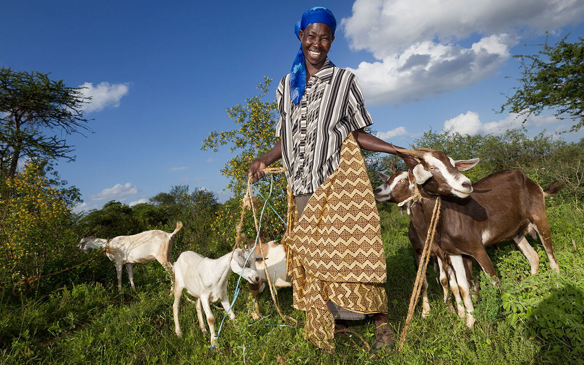 Ein lächelnder Mann in traditioneller Kleidung hält Ziegen an Leinen auf einer grünen Wiese unter blauem Himmel.