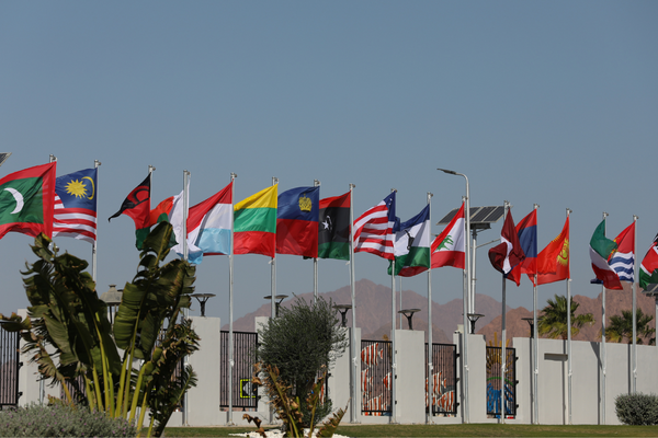 Flags of various countries flutter outside the COP27 venue against a clear blue sky.