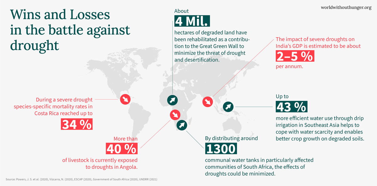 Infographic on global drought impacts highlights statistics on Africa, Asia, and the Americas, emphasizing rehabilitation efforts.