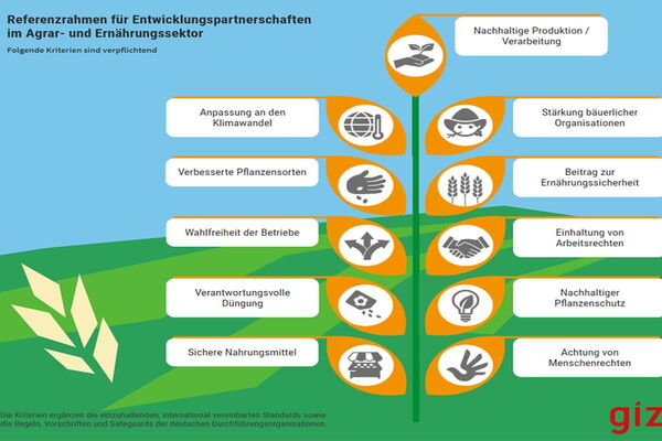 Infografik zeigt Kriterien für nachhaltige Agrarentwicklung, wie Klimaanpassung und Ernährungssicherheit, in Blattform.