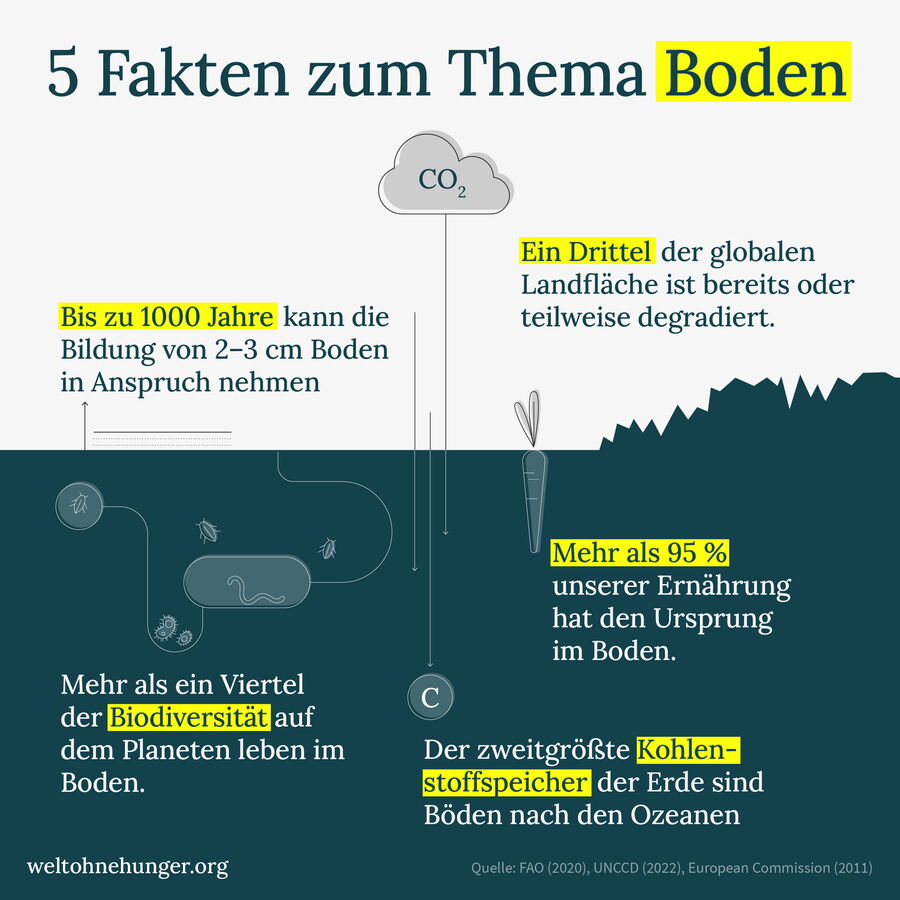Eine Infografik zeigt fünf wichtige Fakten über Boden, einschließlich seiner Rolle als Kohlenstoffspeicher und Biodiversität.