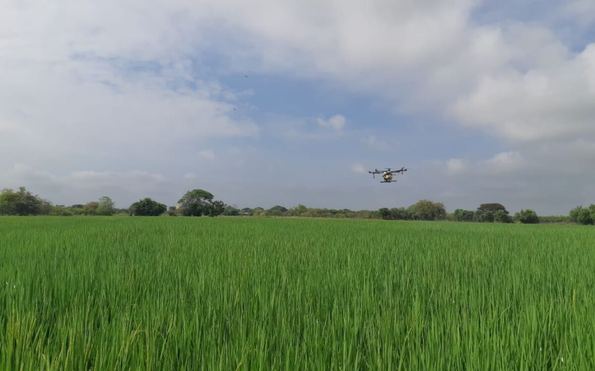 Drohnen für inklusives Wachstum in der Landwirtschaft