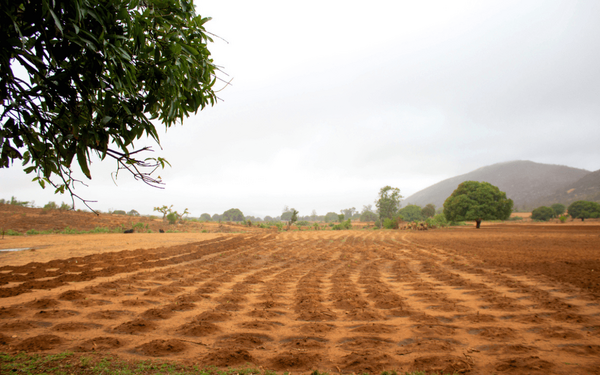 Ein frisch gepflügtes Feld erstreckt sich unter einem bewölkten Himmel, mit Bäumen im Hintergrund. | © GIZ