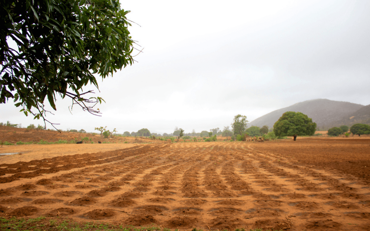 Ein frisch gepflügtes Feld erstreckt sich unter einem bewölkten Himmel, mit Bäumen im Hintergrund. | © GIZ