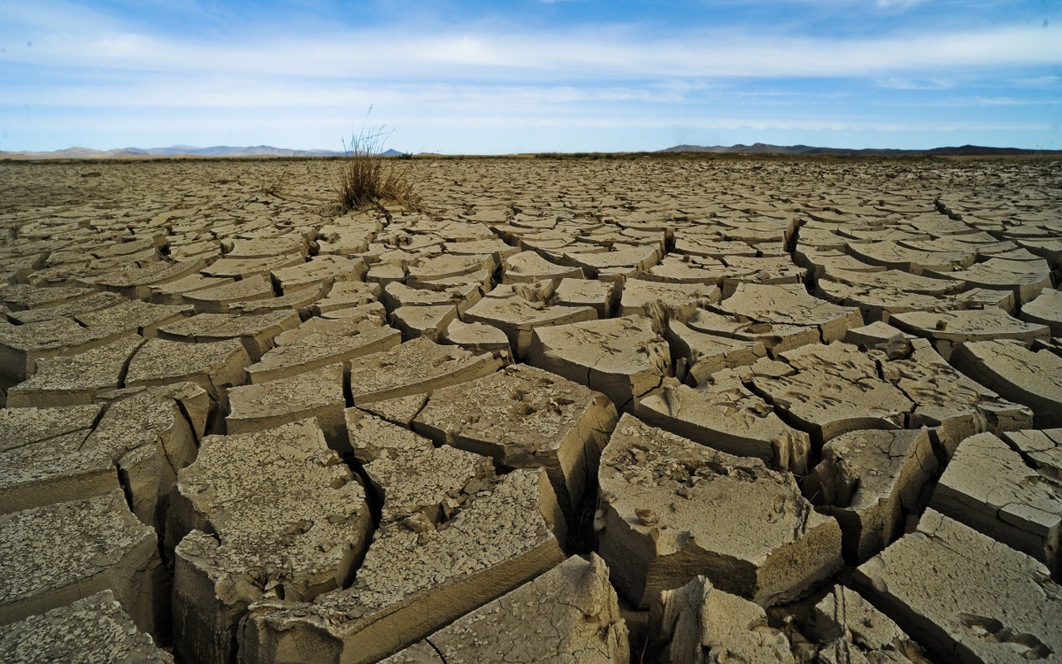 Eine weitläufige, ausgetrocknete Landschaft mit aufgebrochener Erde und einem einsamen Grasbüschel unter klarem Himmel.