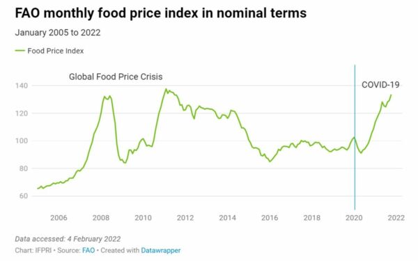 COVID-19 and Rising Food Prices: What’s Really Happening?