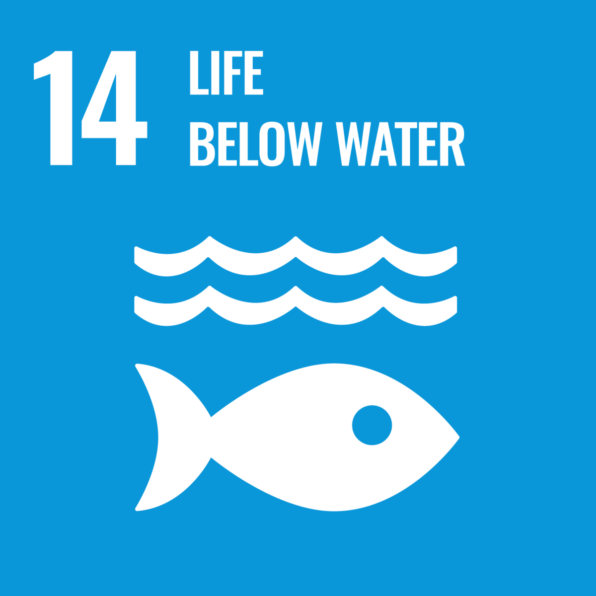 SDG 14 – Living aquatic resources as part of the food system
