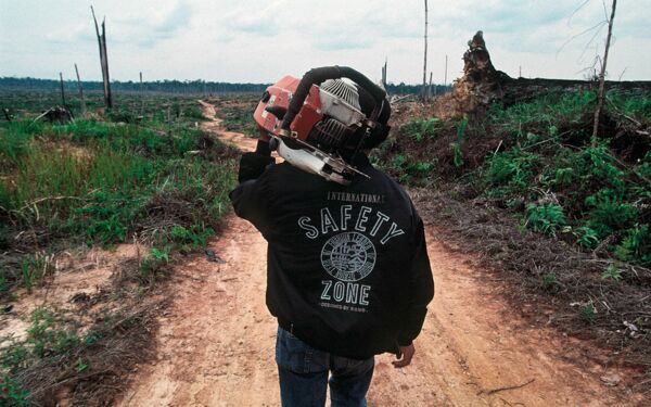 Indonesien / Borneo, März 2000: Nördlich von Palangkaraya liegen inmitten der verwüsteten Landschaft die Basislager illegaler Holzfäller.(c) Christoph Püschner/Zeitenspiegel