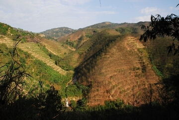 Ich bin ein Alternativtext