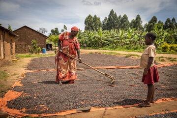 Ich bin ein Alternativtext