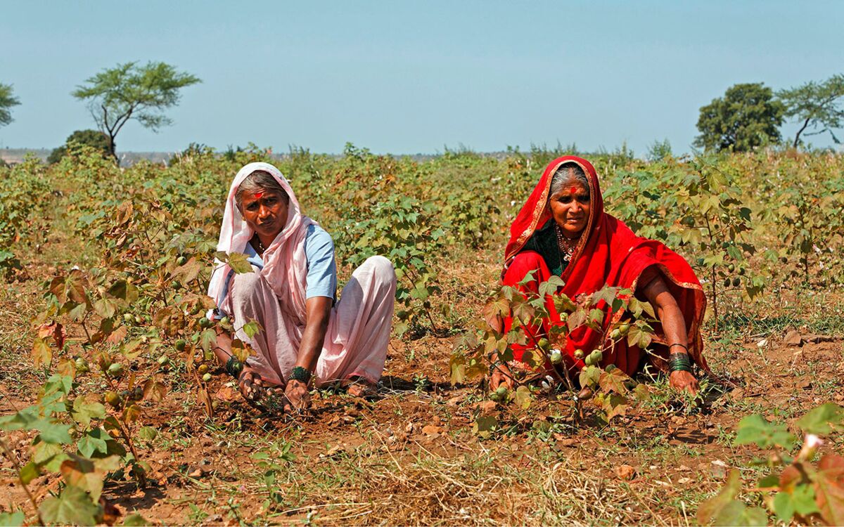 MAINTAINING SOIL FERTILITY