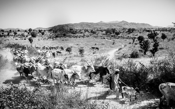 Ich bin ein Alternativtext