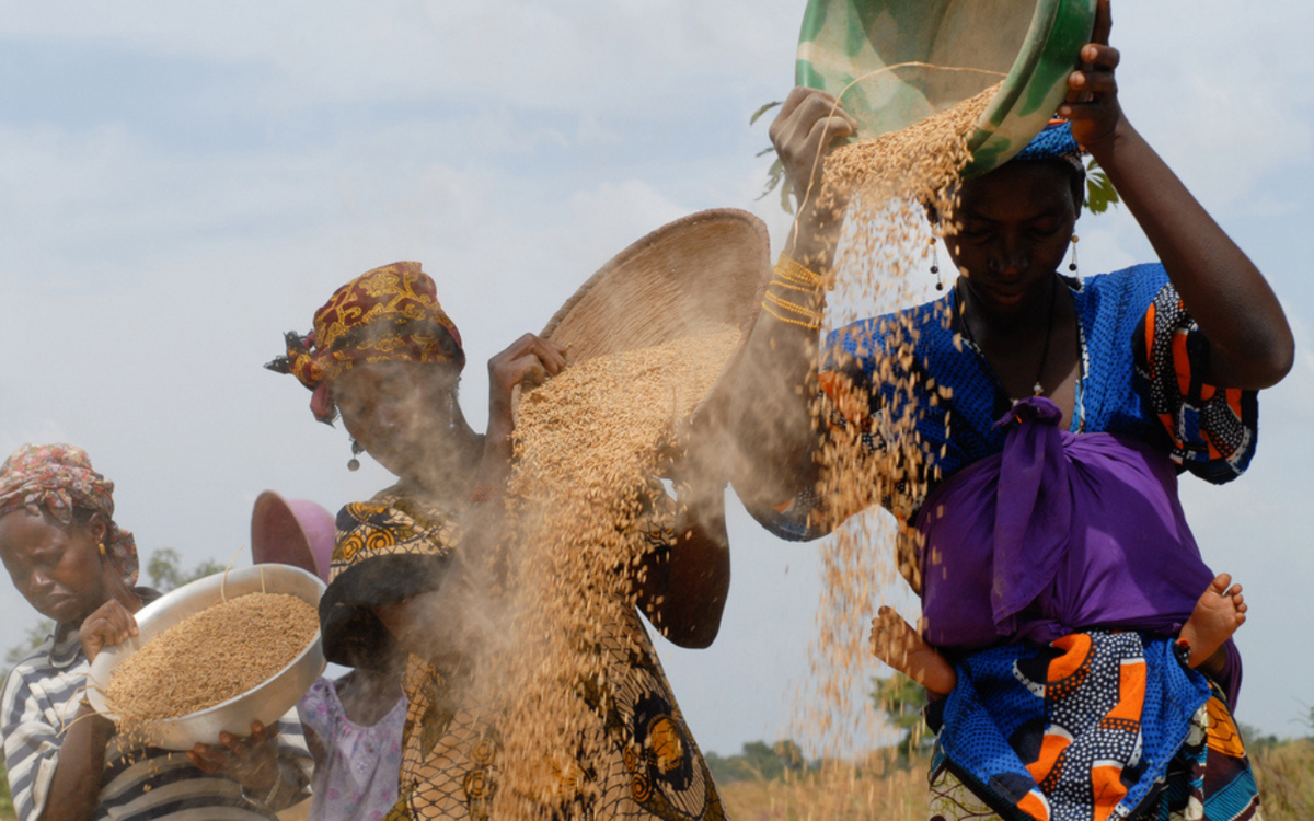 Frauen sieben Getreidekörner unter freiem Himmel, während ein Kind in einem Tuch auf dem Rücken einer Frau ruht. | © GIZ_Joerg Boethling