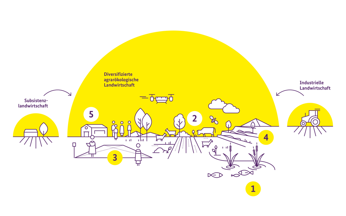 Infografik zeigt agrarökologische Landwirtschaft mit Zahlen, Drohnen, Pflanzen und Tieren unter gelbem Bogen.