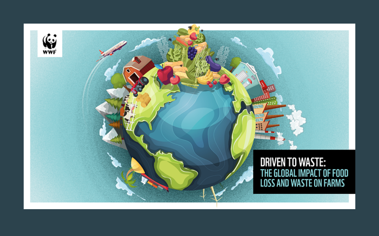 Eine stilisierte Erdkugel zeigt Lebensmittelverschwendung auf Bauernhöfen mit einem Flugzeug und Bauernhof im Hintergrund.