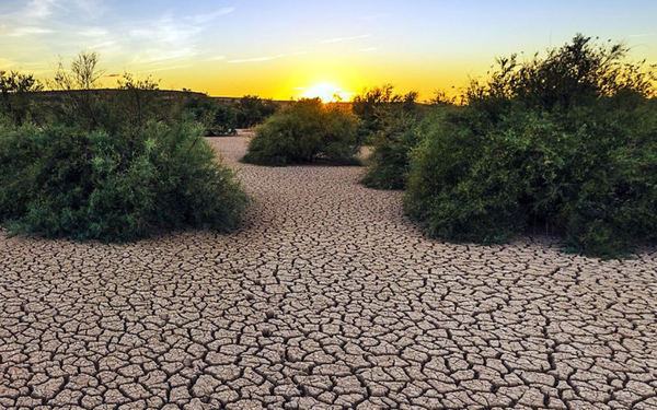 Risse durchziehen den trockenen Boden einer Landschaft bei Sonnenuntergang, umgeben von spärlicher Vegetation in der Dürre.
