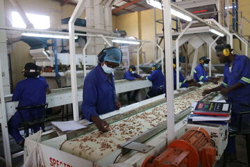 Ich bin ein Alternativtext