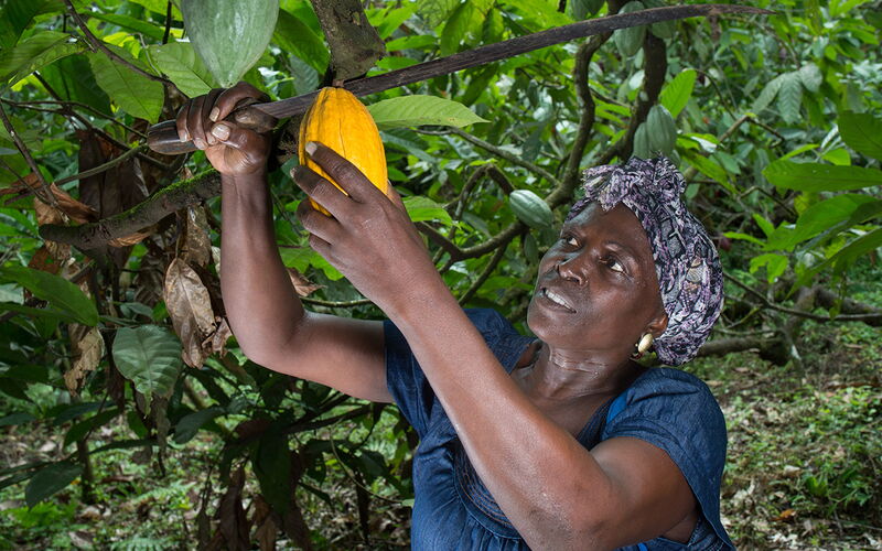 Ich bin ein Alternativtext