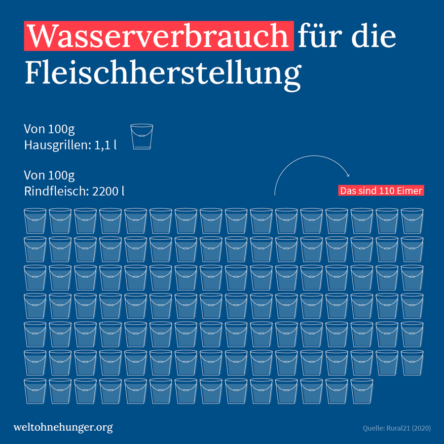 Infografik zeigt Wasserverbrauch für Fleischherstellung mit 110 Eimern für 100g Rindfleisch im Vergleich zu Grillen.