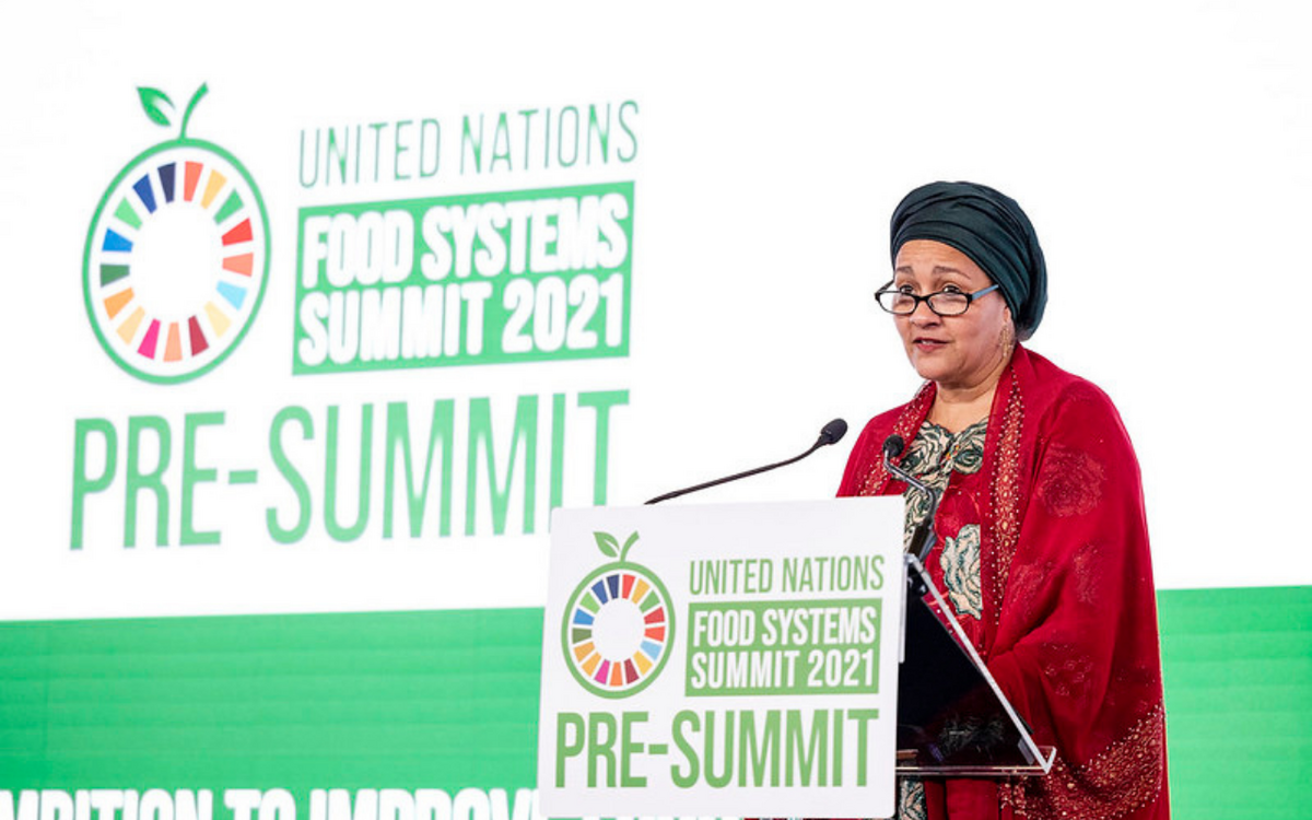 A speaker addresses the audience at the United Nations Food Systems Summit 2021 Pre-Summit, standing at a podium.