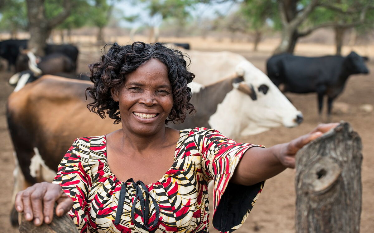 Eine lächelnde Frau in Sambia steht vor einer Herde Kühe, umgeben von Bäumen und Natur.