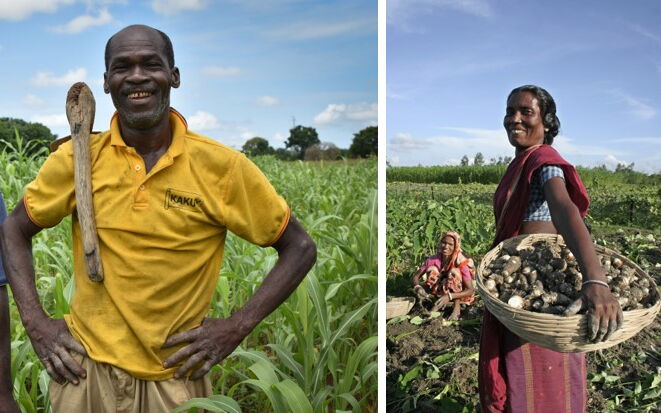 Drei Bilder zeigen eine Frau bei der Laborarbeit, zwei Männer im Maisfeld und eine Frau mit einem Korb voller Pilze auf dem Feld.