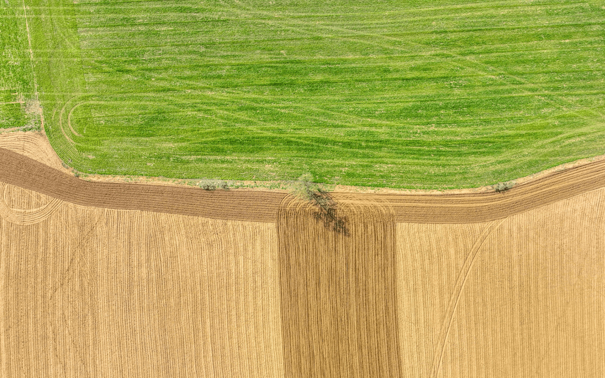 Luftaufnahme eines grünen und braunen Feldes, das von einem schmalen Streifen getrennt wird. | © Jaum Jovell
