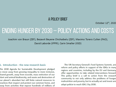 The policy brief titled "Ending Hunger by 2030" outlines actions and costs, dated October 12th, 2020.