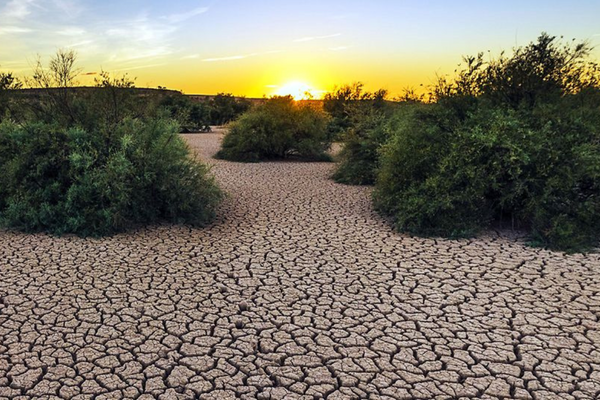 The cracked earth of a drought-stricken landscape is illuminated by a vibrant sunset behind sparse bushes.