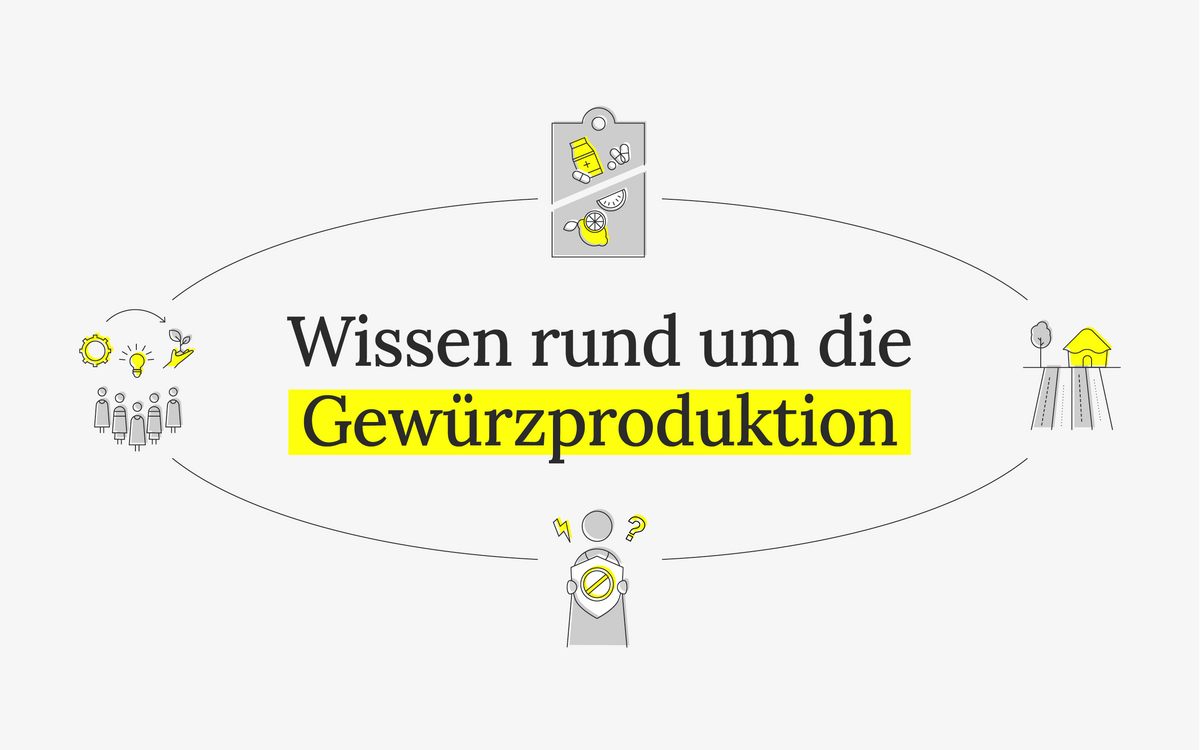 Illustration zeigt den Prozess der Gewürzproduktion mit Text "Wissen rund um die Gewürzproduktion" in der Mitte.