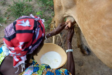 Ich bin ein Alternativtext