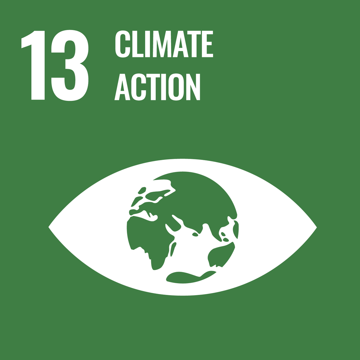 Green graphic of Goal 13, Climate Action, featuring a globe within an eye symbol on a green background.