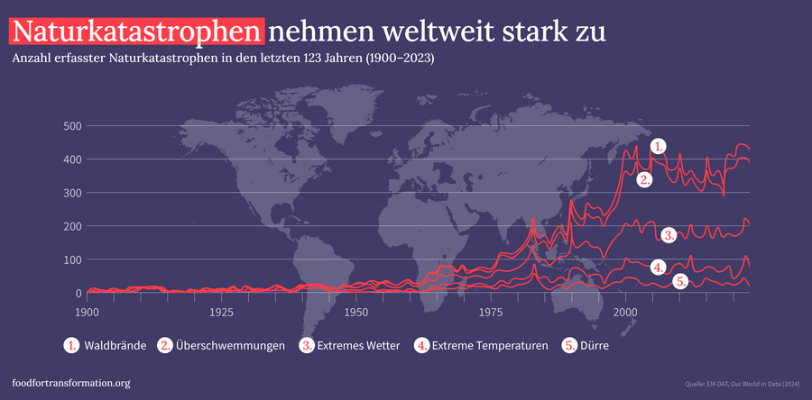 Ein Diagramm zeigt den Anstieg von Naturkatastrophen weltweit von 1900 bis 2023, mit Fokus auf Waldbrände und Überschwemmungen.