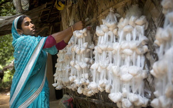 Eine Frau in traditioneller Kleidung hängt weiße Bündel an eine Wand aus geflochtenem Material.